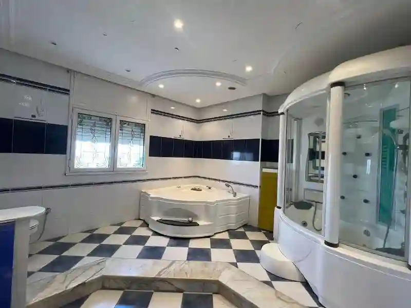 V482 Villa Royale la Villa Mahersi à Cite El Mahrsi 1 - Vue 2