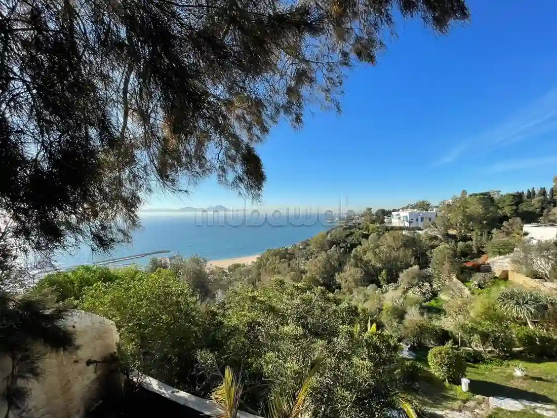 Appartement Meublé S1 Avec vue mer Sidi Bou Saïd