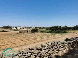 Vt809 Terrain Agricole à Sidi Daoued Hawaria à Sidi Daoud