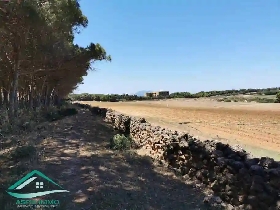 Vt809 Terrain Agricole à Sidi Daoued Hawaria à Sidi Daoud - Vue 4