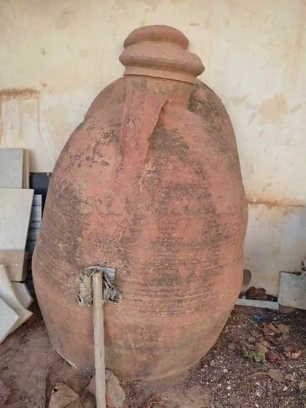 للبيع بنصف الثمن - Vue 1