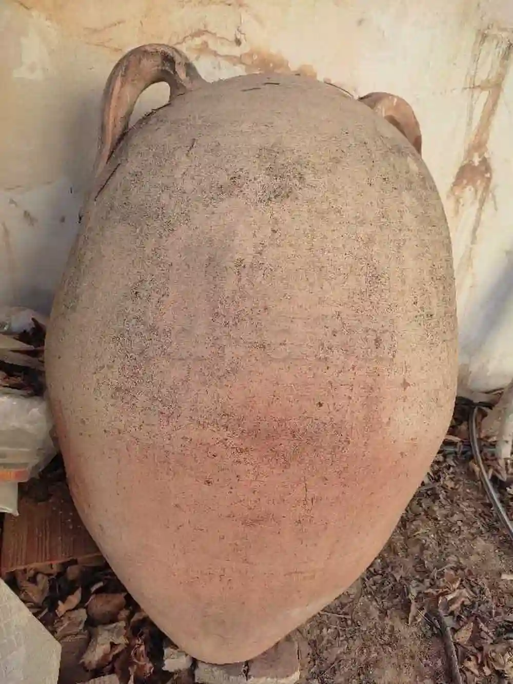 للبيع بنصف الثمن - Vue 3