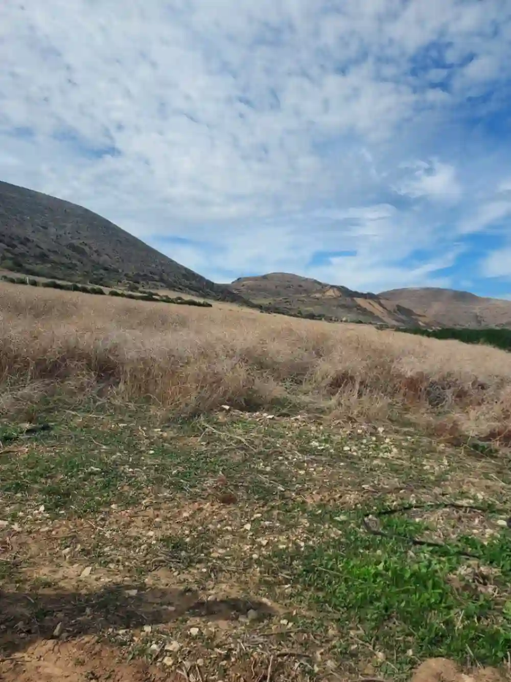 Terrain a Ras Angela Bizerte