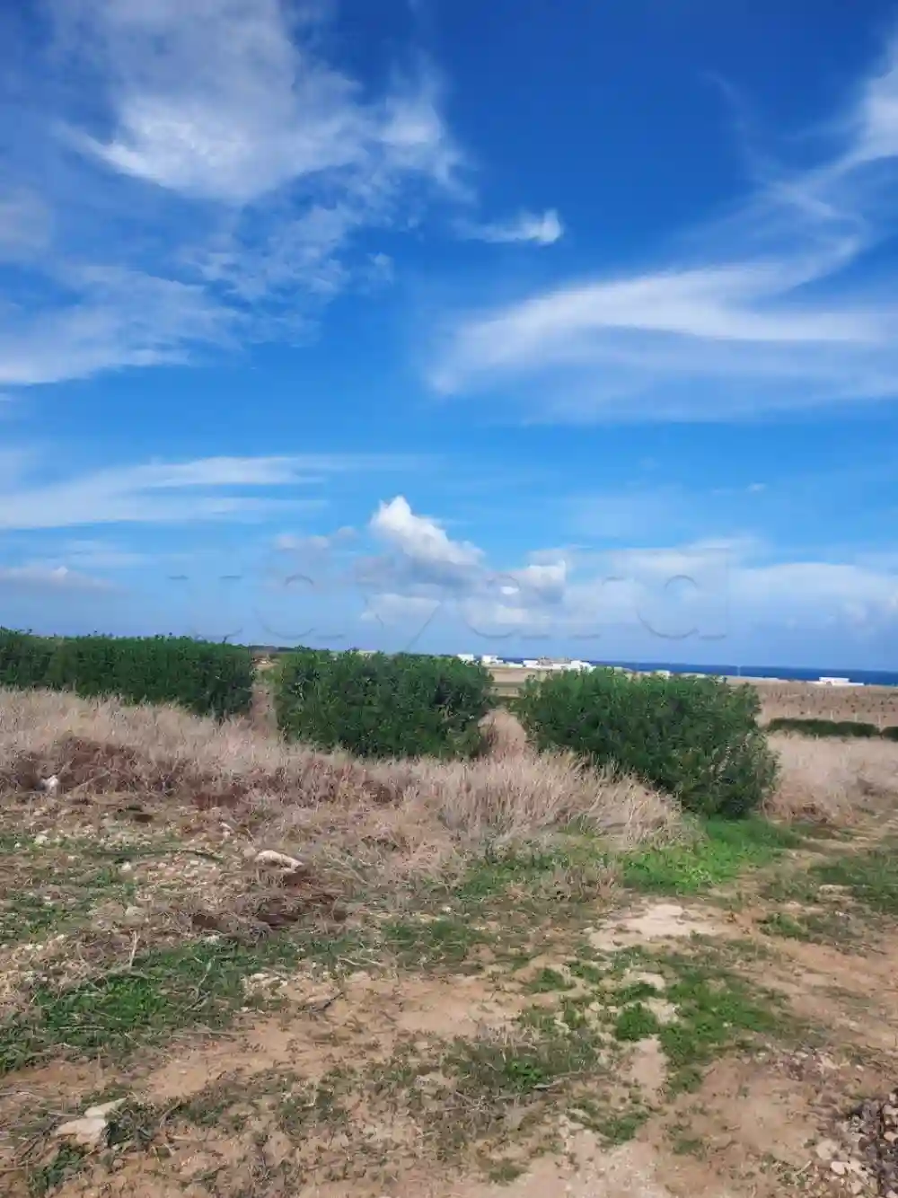 Terrain a Ras Angela Bizerte - Vue 2