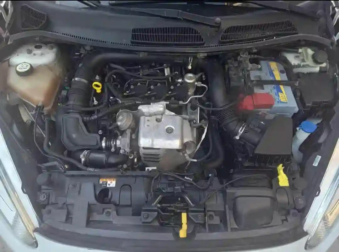 Ford Fiesta Ecobost - Vue 3