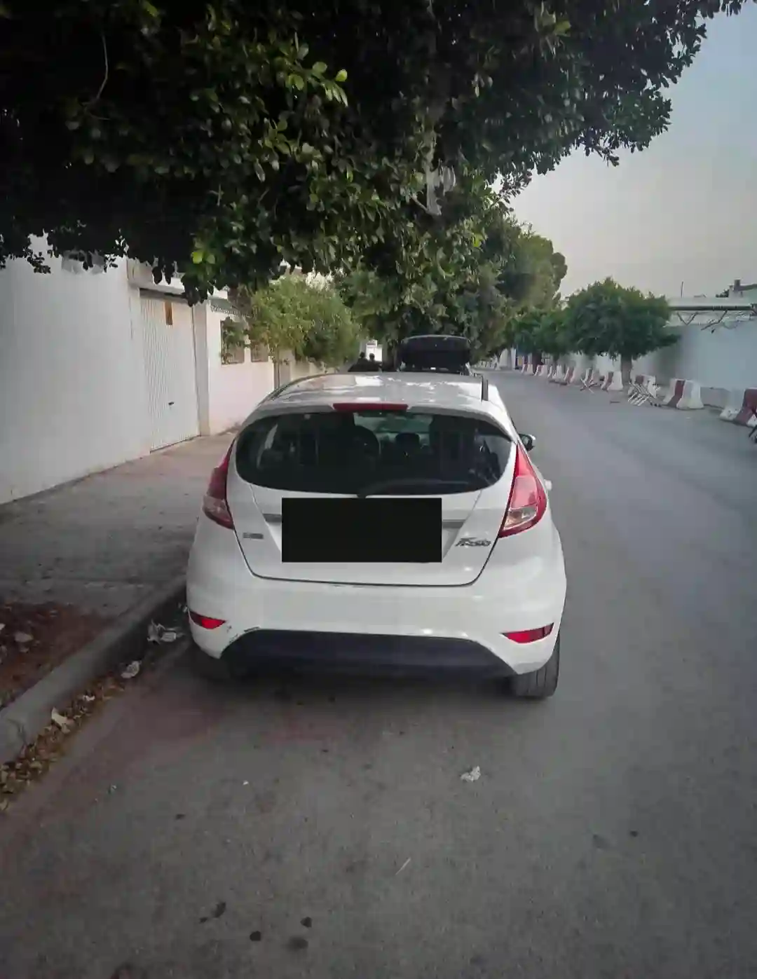 Ford Fiesta Ecobost - Vue 5