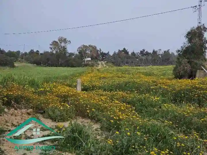 Vt896 Terrain Agricole 5 Hectares à Hawaria à El Haouaria