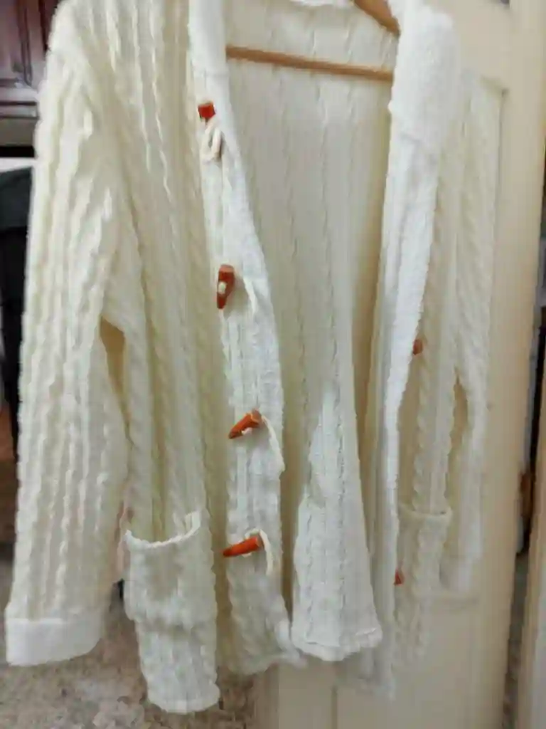 Vide Dressing - Vue 6