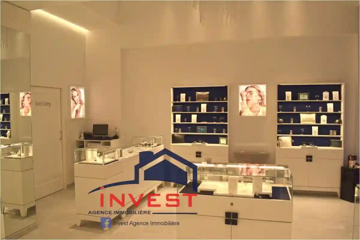 Local Commercial lac - Vue 2