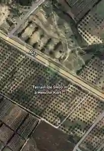 Terrain Agricole de 9460m Ref627a à Nabeul