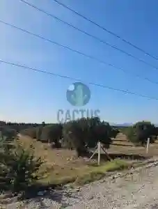 Terrain Agricole de 9460m Ref627a à Nabeul - Vue 1