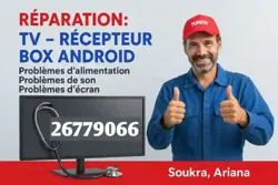 Réparation TV a Domicile Plasma LCD led et Parabole 📡 Satellite