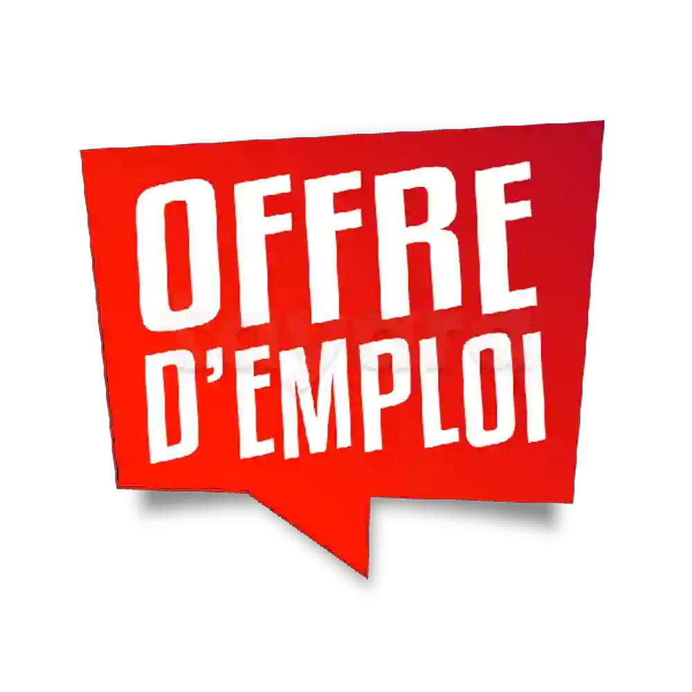 Offre D'emploi
