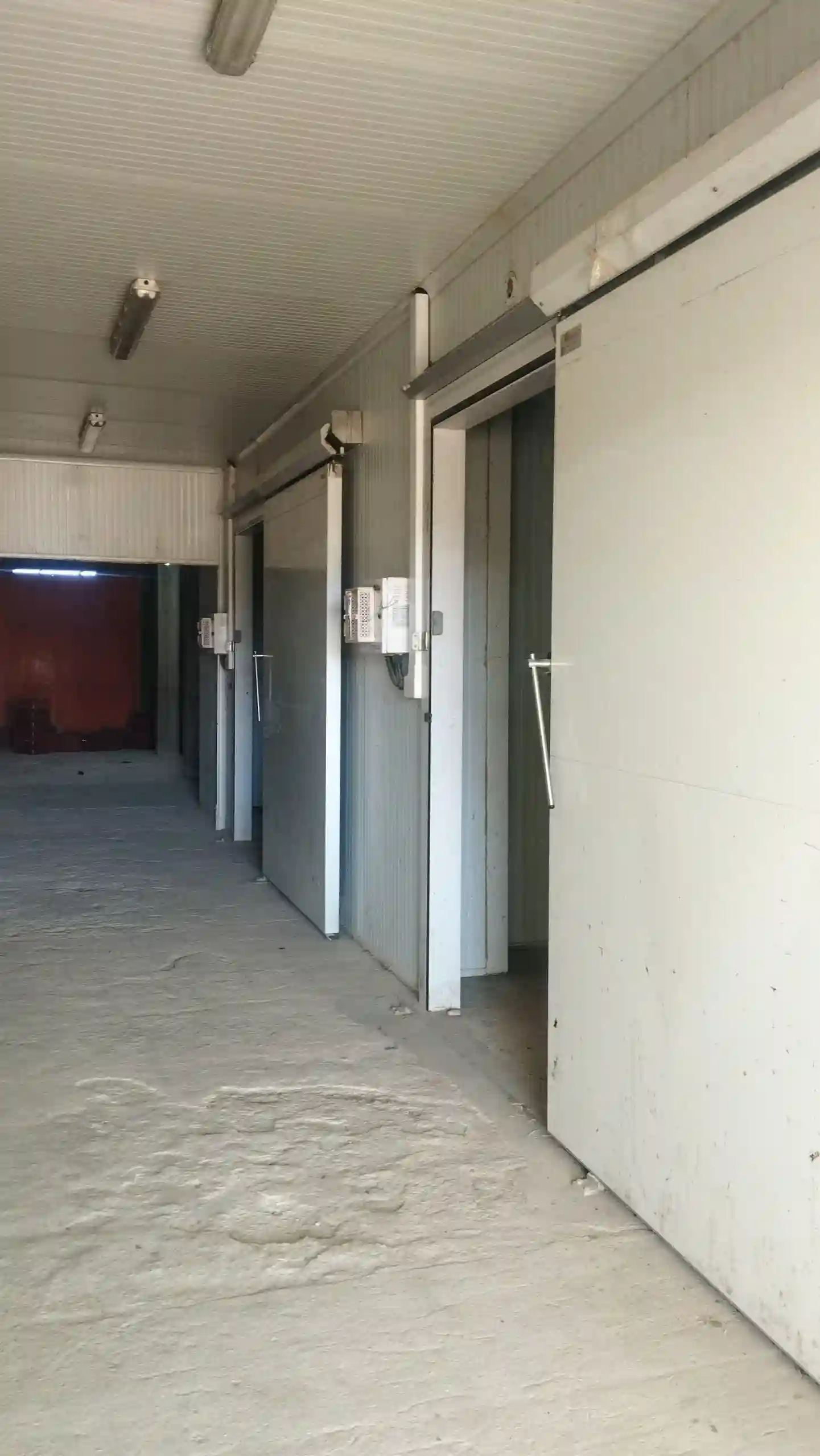 Ferme 11 Hectares a Vendre à Sbiba - Vue 4