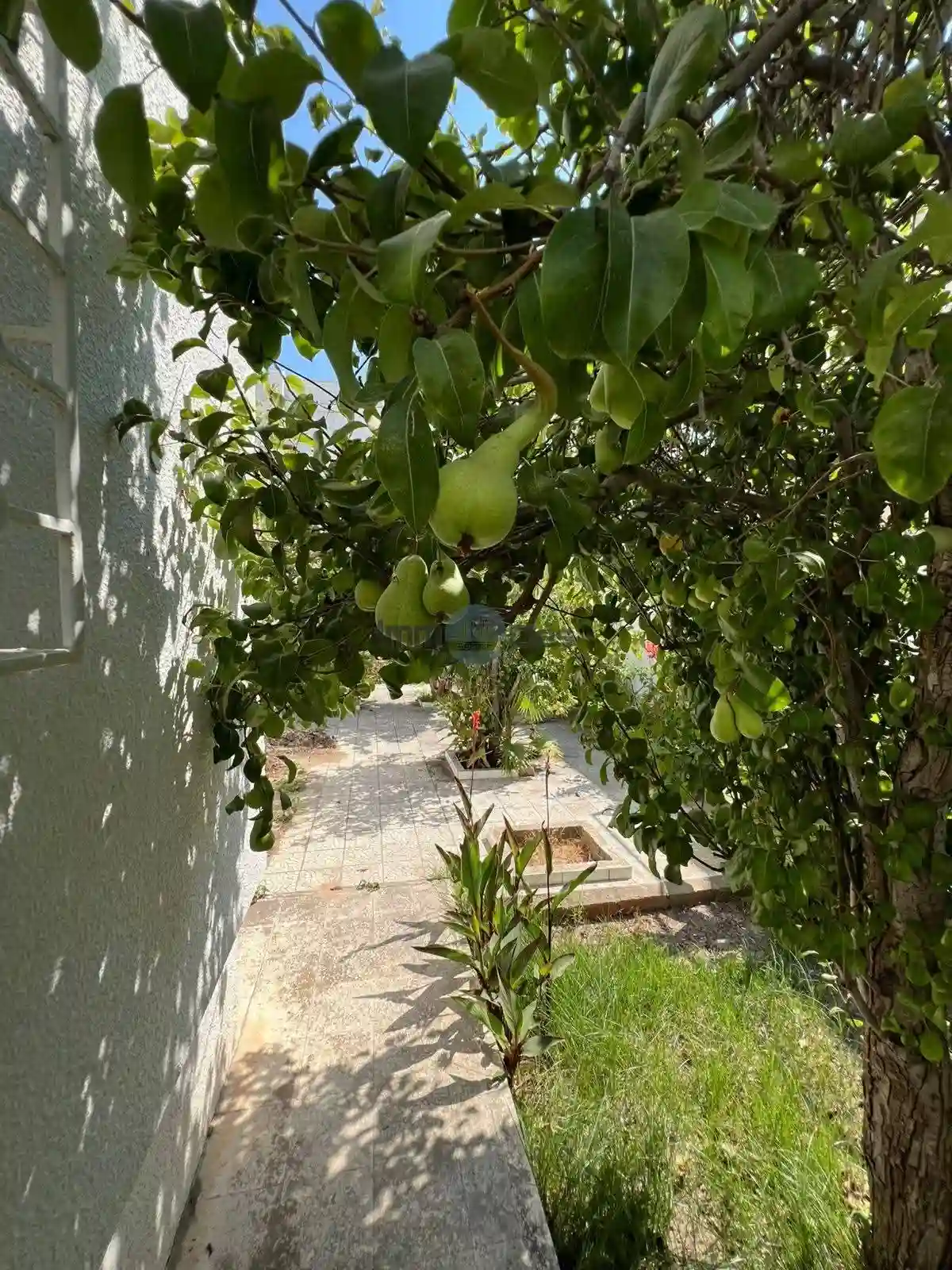 Magnifique Villa Sidi Salem Bizerte à Bizerte - Vue 4
