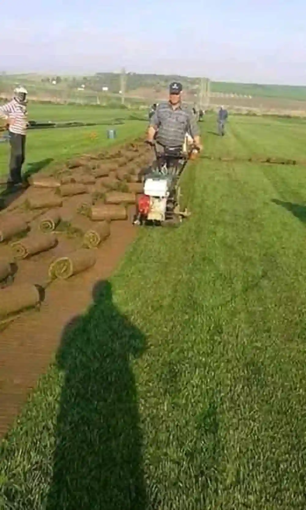 Venet et Posez Gazon Naturelle 21226774 - Vue 1