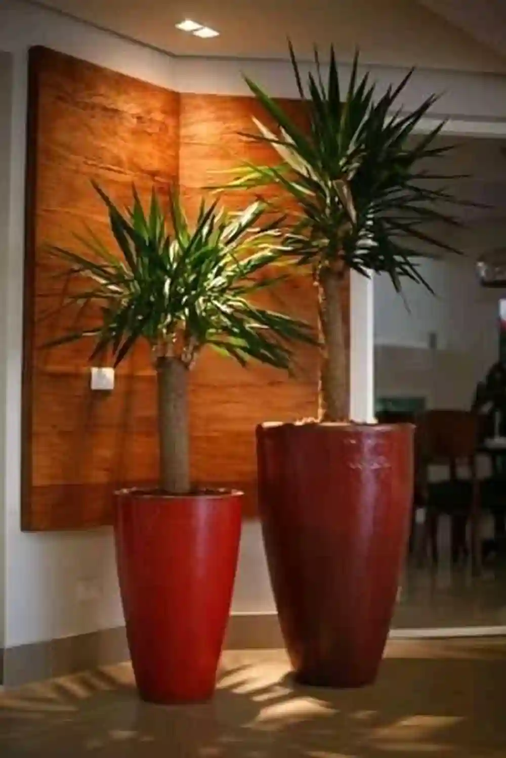 Venet et Posez Gazon Naturelle 21226774 - Vue 2