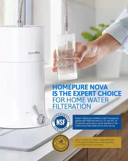 Hompure Nova - Vue 2
