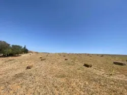 Terrain Agricole ou Idéal Projet Maison Dhôtes à El Fejja