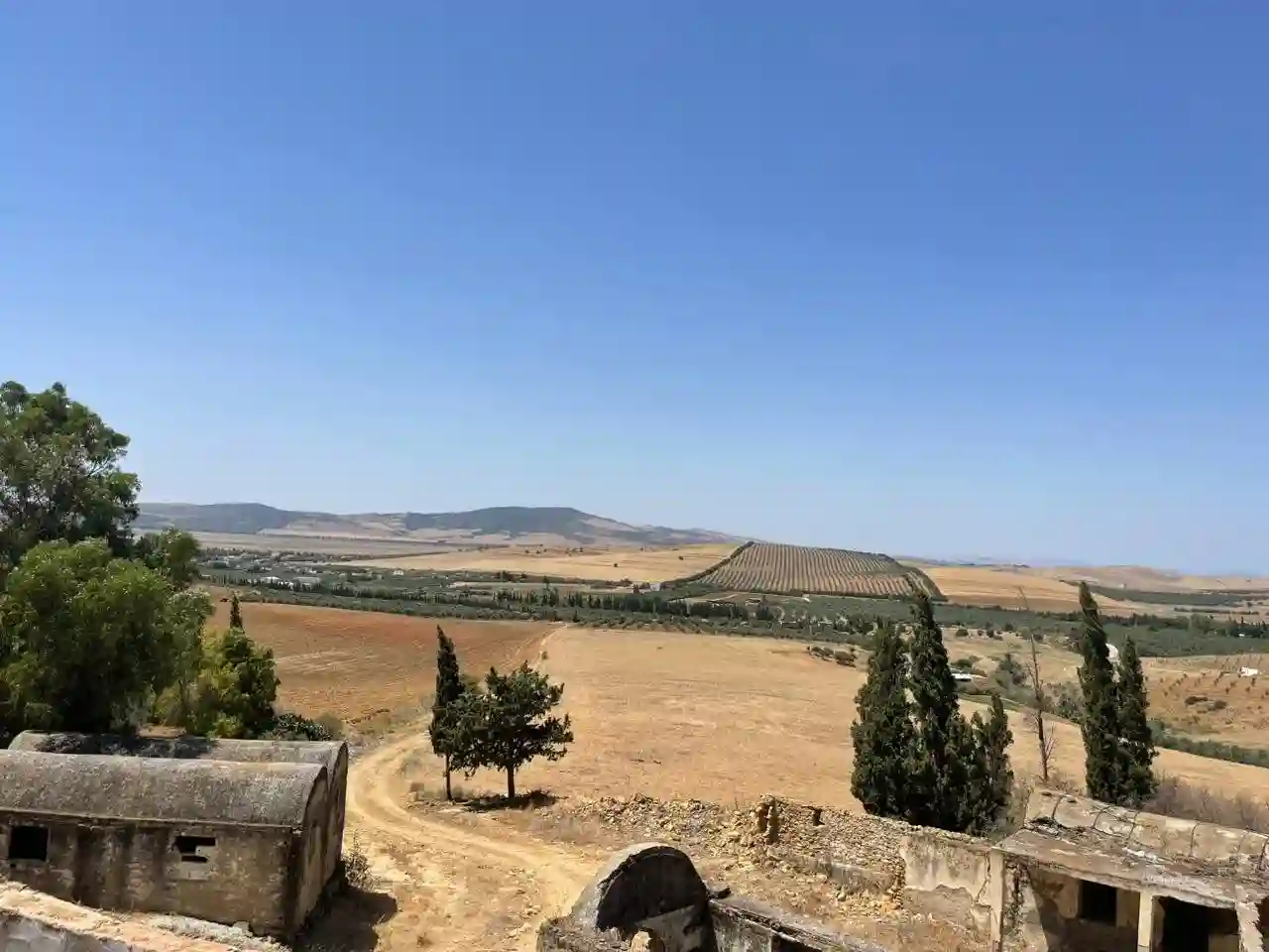 Terrain Agricole ou Idéal Projet Maison Dhôtes à El Fejja - Vue 2