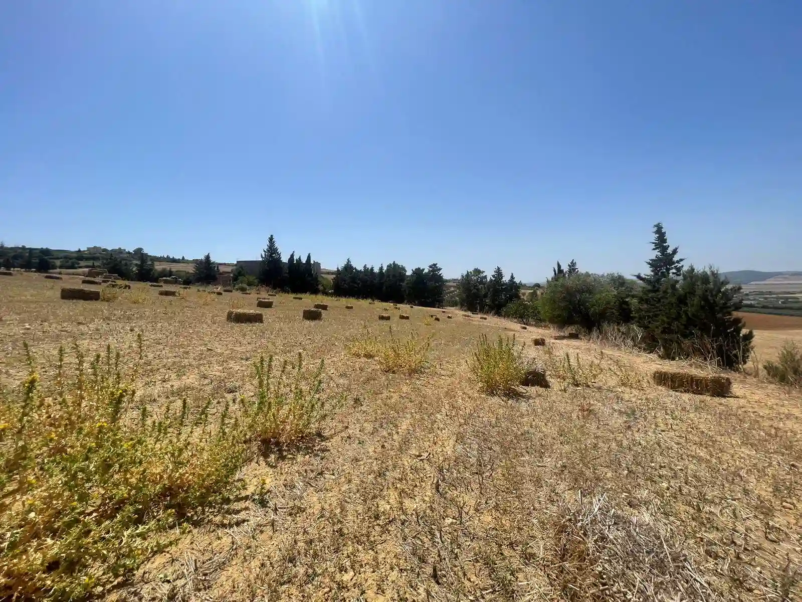 Terrain Agricole ou Idéal Projet Maison Dhôtes à El Fejja - Vue 4