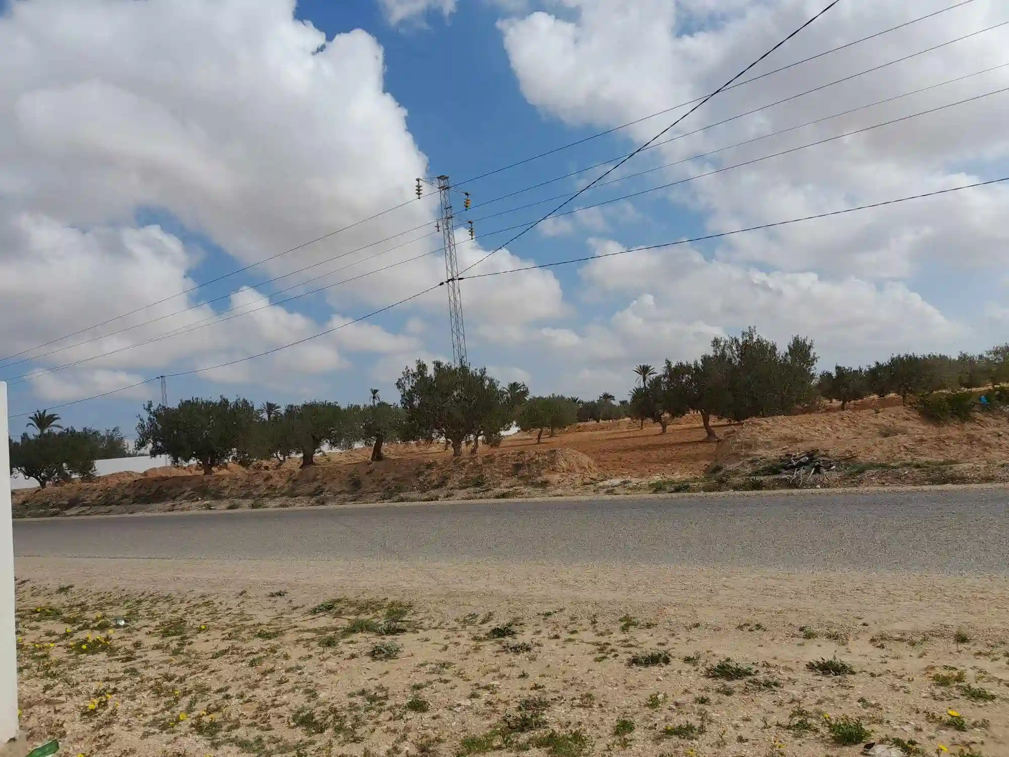 Huile D'olive bio de Djerba 4175 el may à Djerba - Midoun - Vue 3