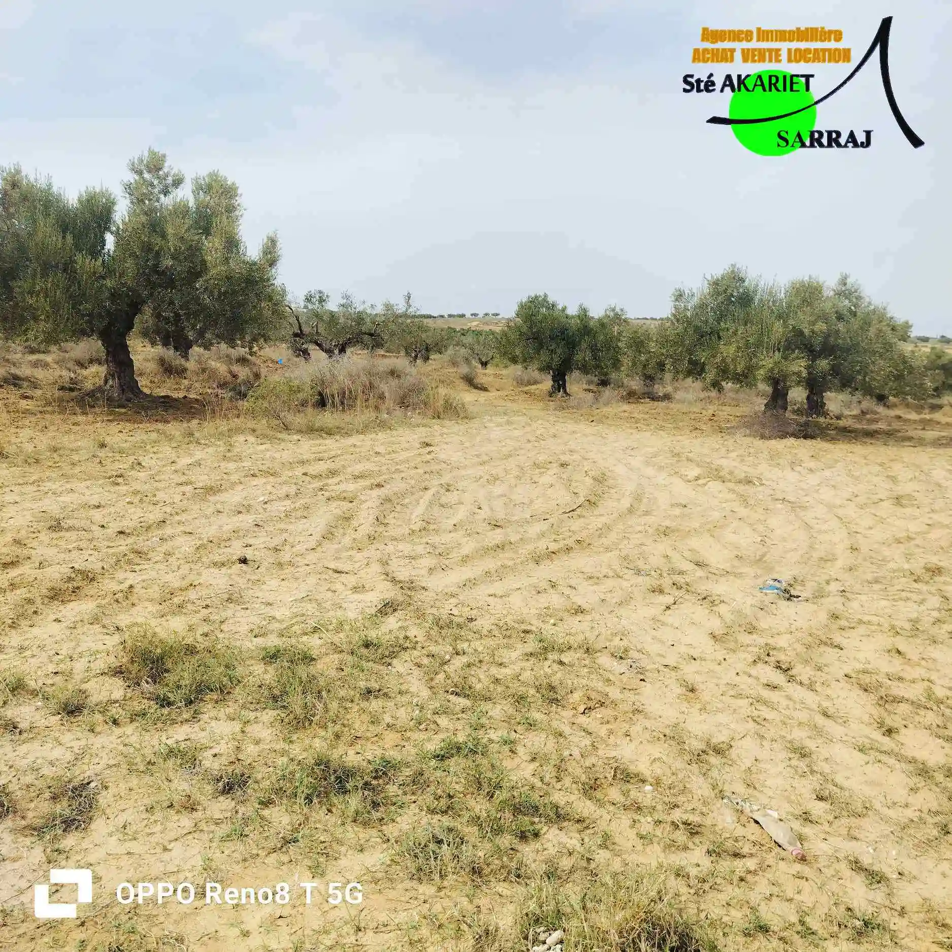 Terrain Agricole 3666m vue mer à Koussour Gharnata à Chatt Meriem - Vue 2