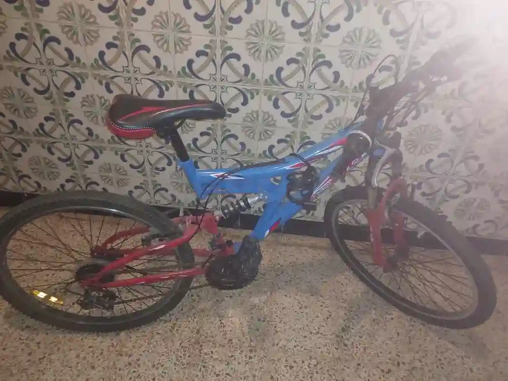 Bicyclette à La Goulette - Vue 1