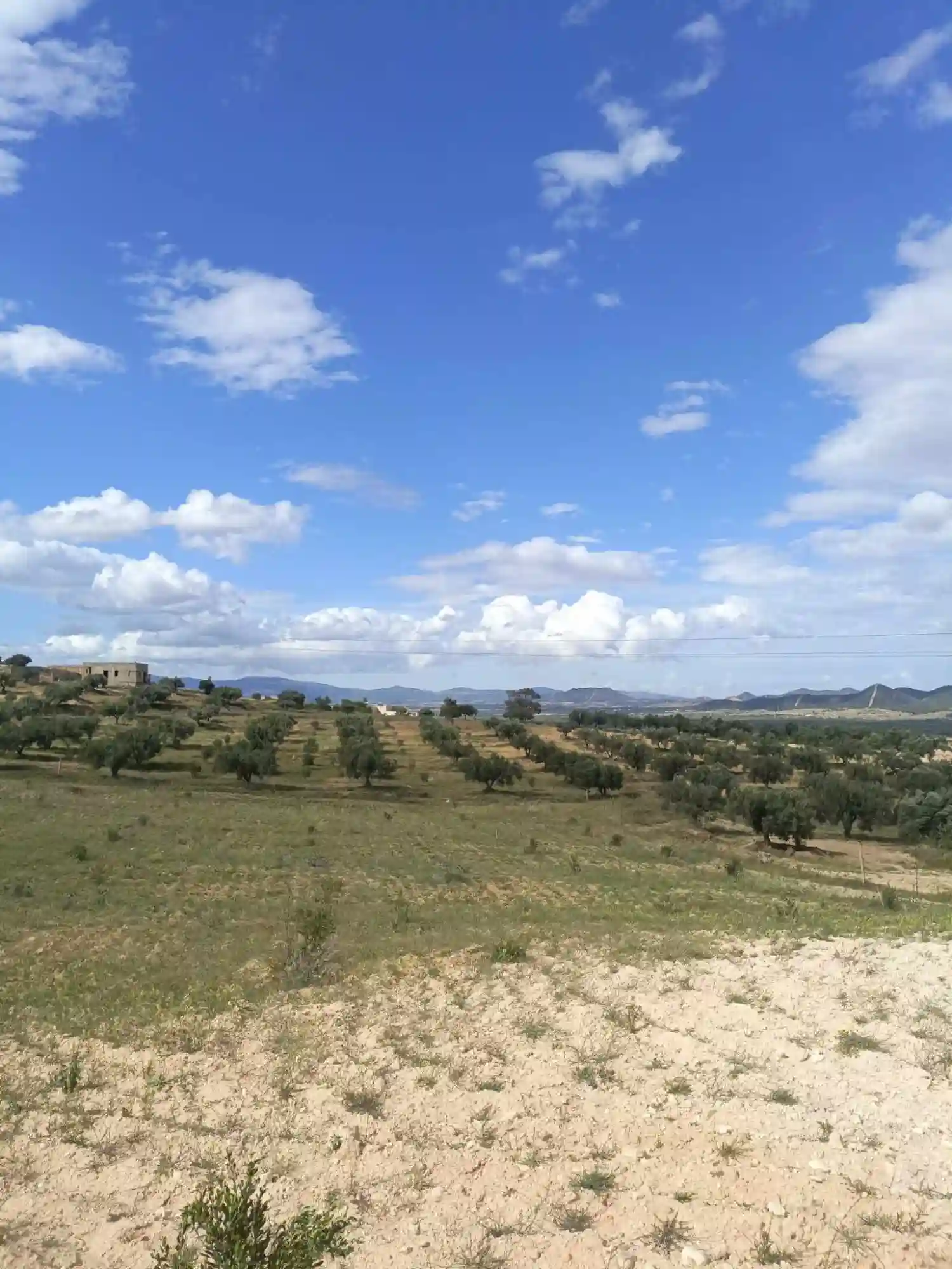 Av Terrain 4100m à Zaghouan - Vue 1