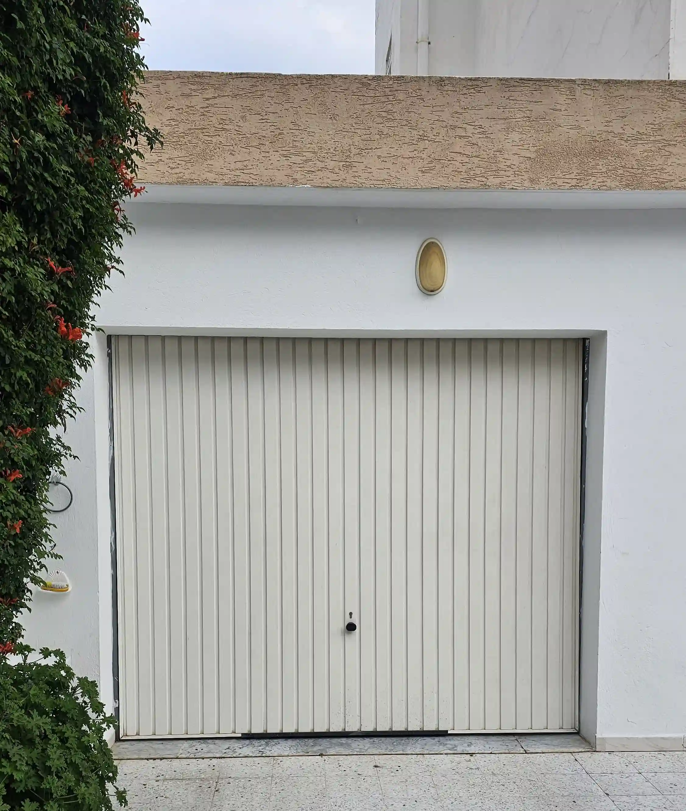 Porte Basculante Pour Garage ou Jardin à Bou Mhel El Bassatine - Vue 3