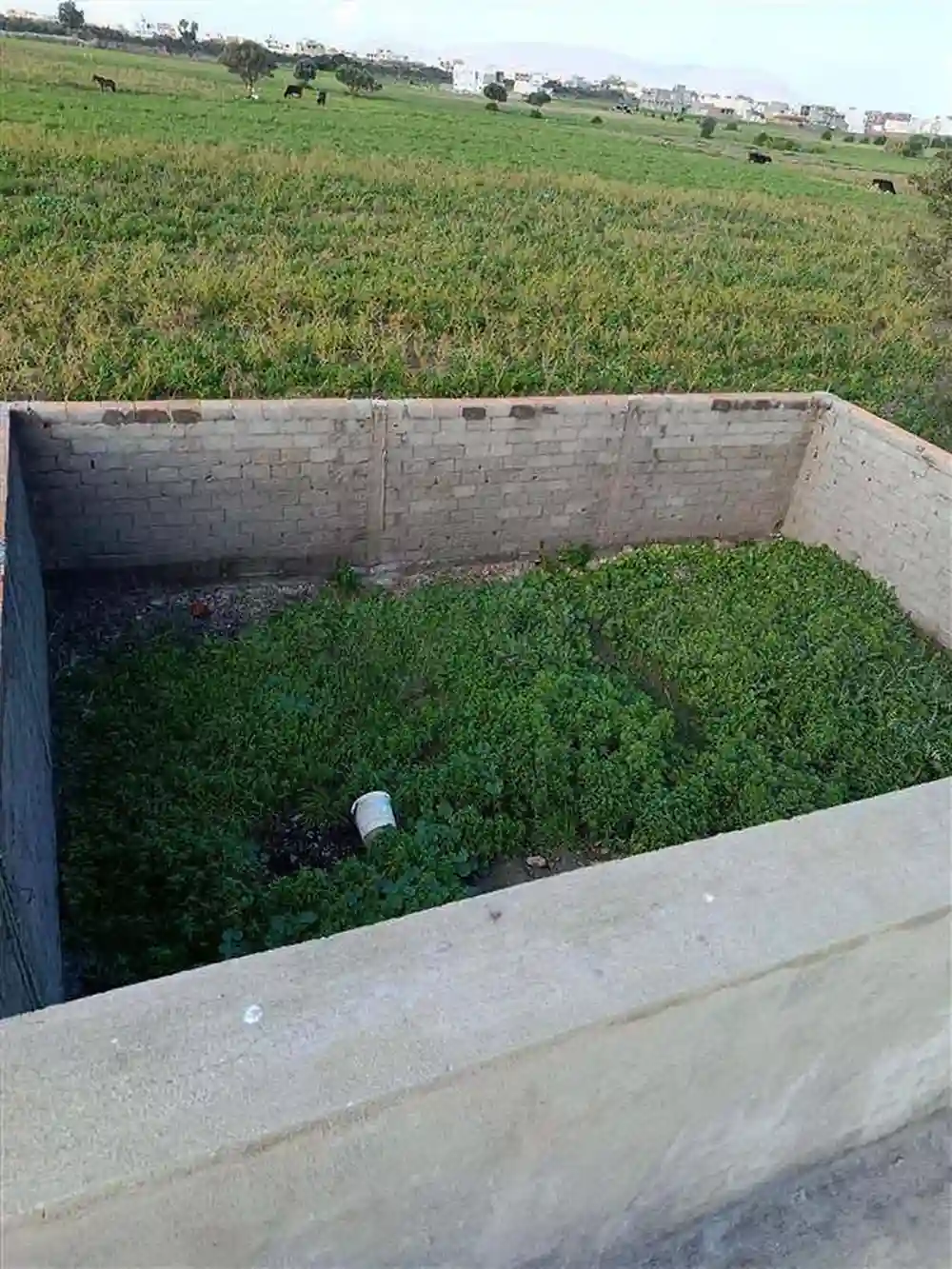 Villa à dar Allouche Opportunité Rare à Dar Allouche - Vue 3