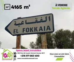 للبيع أرض فلاحية ذات موقع استراتيجيm²4165