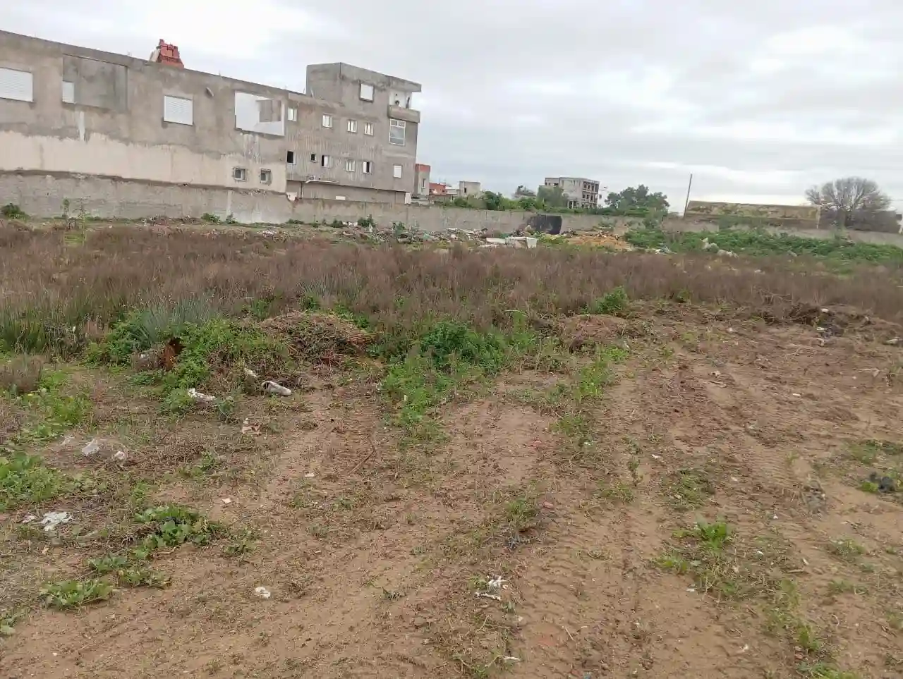 4000 m2 à Vendre à la Soukra - Vue 2