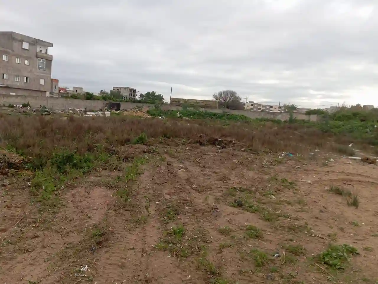4000 m2 à Vendre à la Soukra - Vue 3