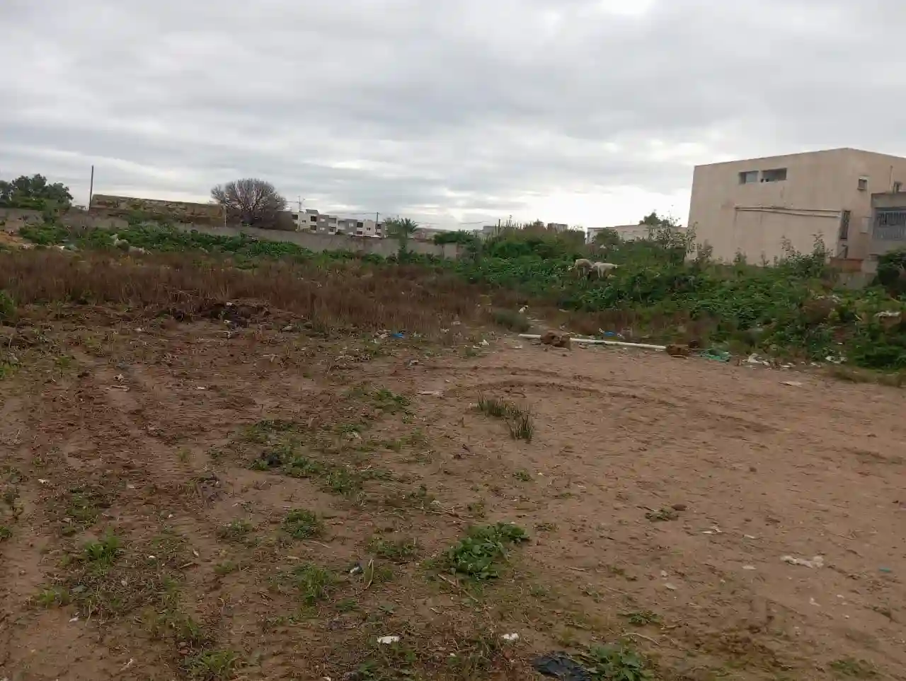 4000 m2 à Vendre à la Soukra - Vue 4