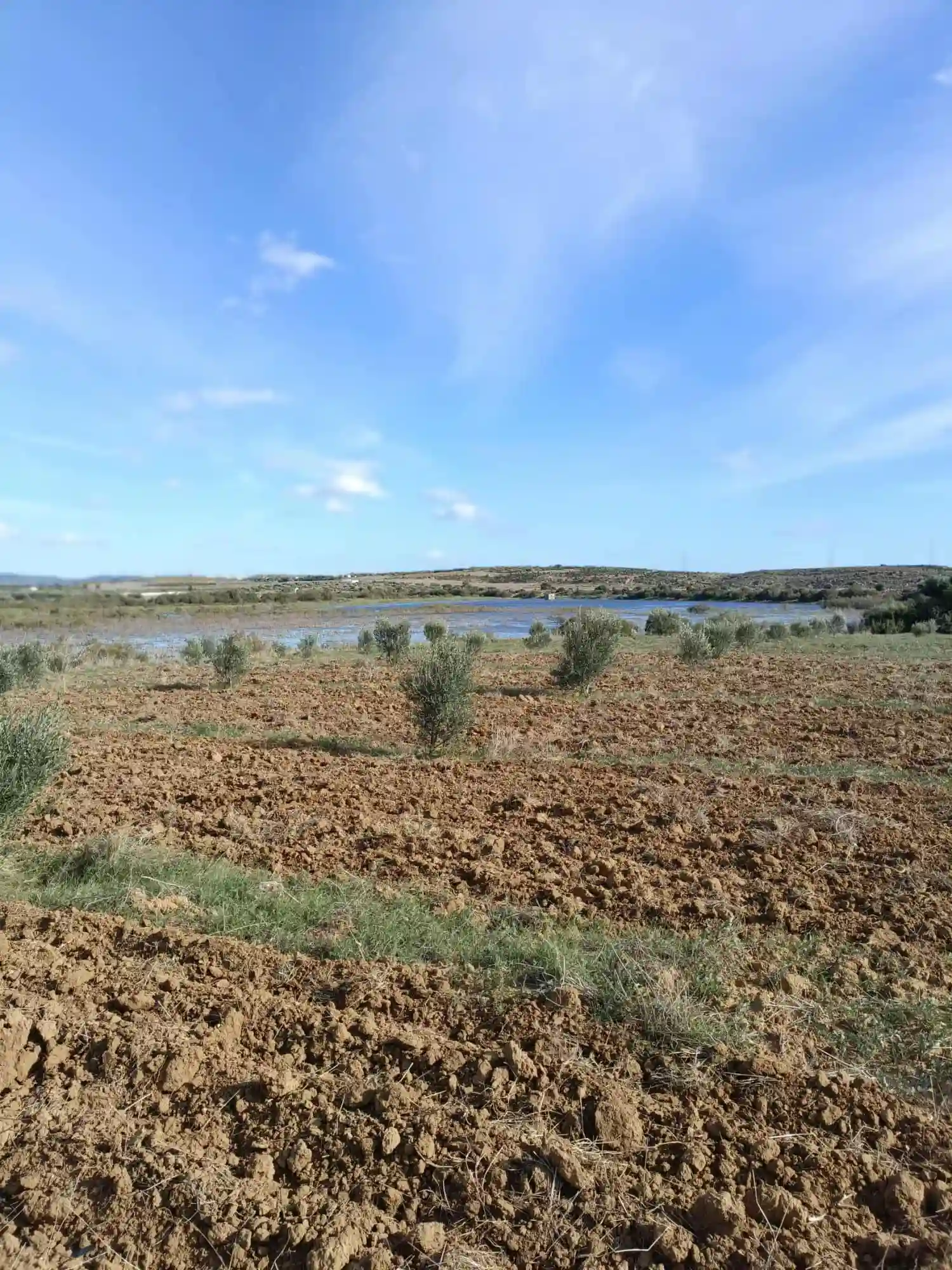 Av Terrain de 1000m à Monchar pas Loin de Hammamet sud - Vue 3