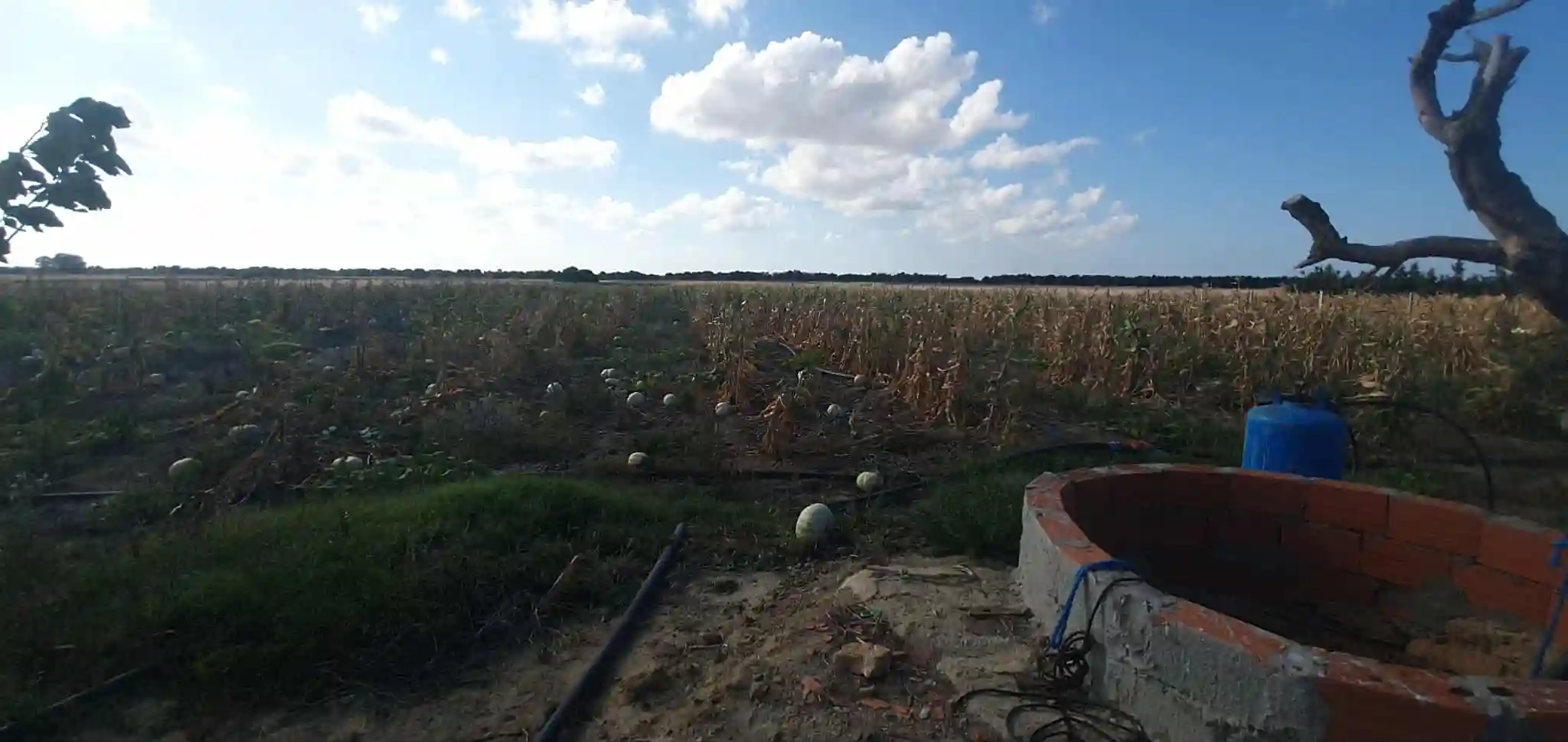 Ferme à Chraf el Haouaria à Charaf - Vue 1