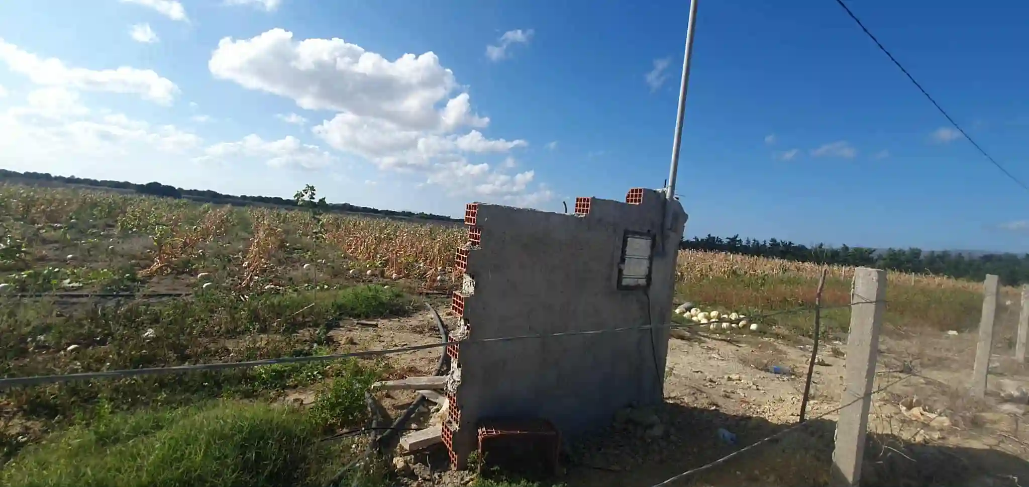 Ferme à Chraf el Haouaria à Charaf - Vue 2