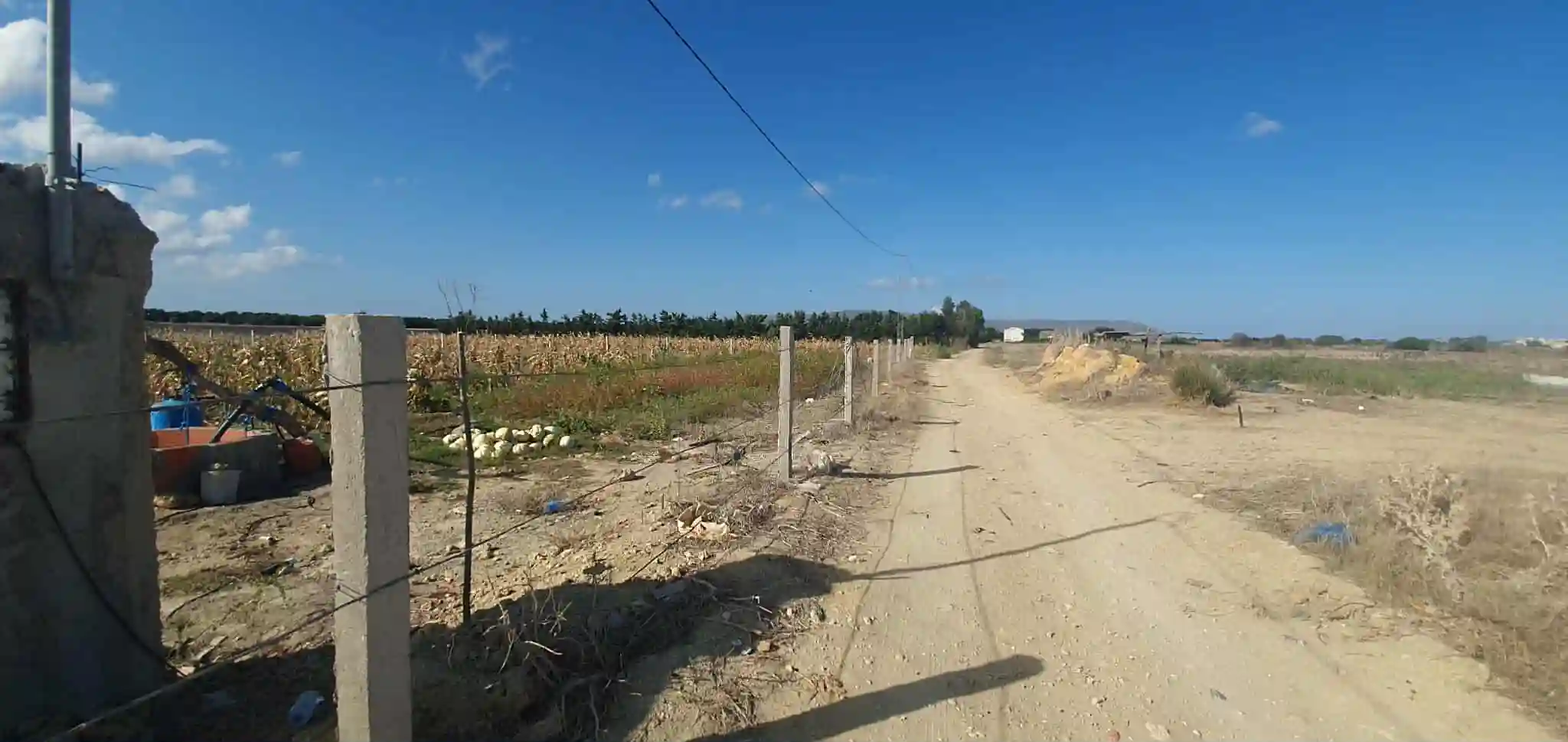Ferme à Chraf el Haouaria à Charaf - Vue 3