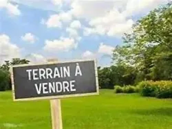 للييع ارض في شنني 390م