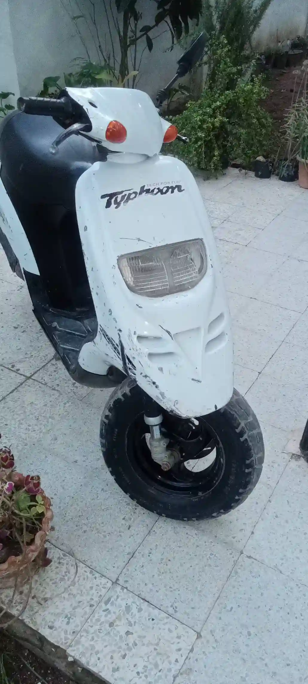 Piaggio Typhoon 50cc 2T - Vue 2