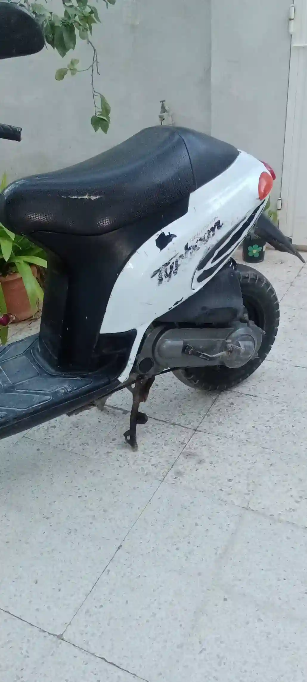 Piaggio Typhoon 50cc 2T - Vue 3