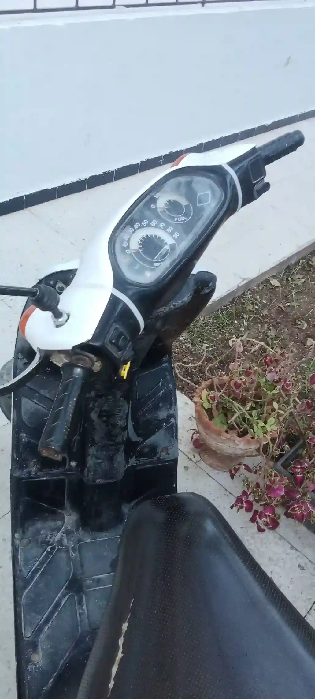 Piaggio Typhoon 50cc 2T - Vue 8