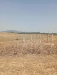 Av Terrain 7 Hectares Route Zaghouan Hammamet