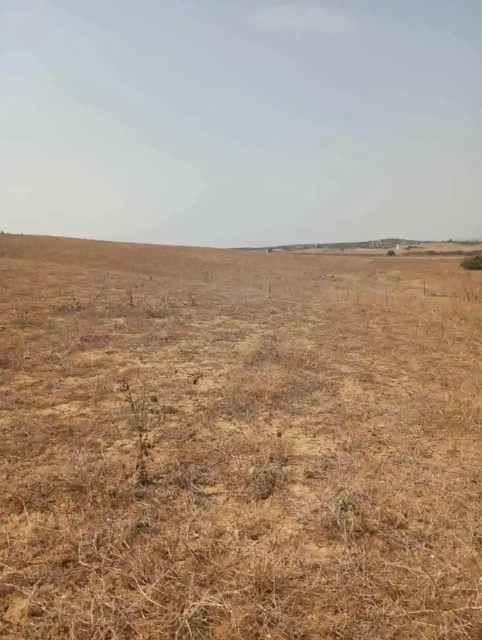 Av Terrain 7 Hectares Route Zaghouan Hammamet - Vue 1