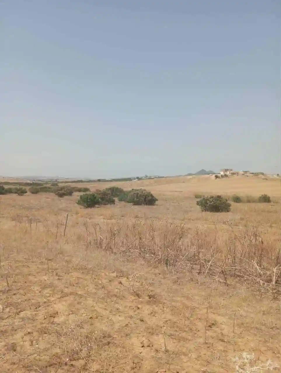 Av Terrain 7 Hectares Route Zaghouan Hammamet - Vue 2