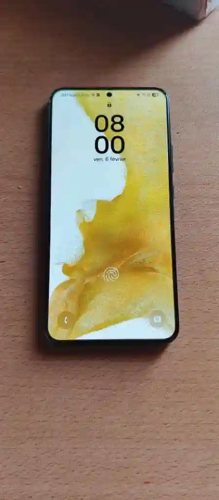 Samsung s 22 Plus - Vue 2