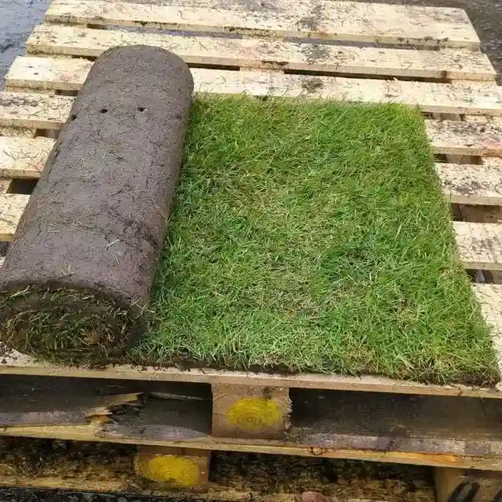 21226774 Vente et Pose Gazon Naturelle Tunisie - Vue 2