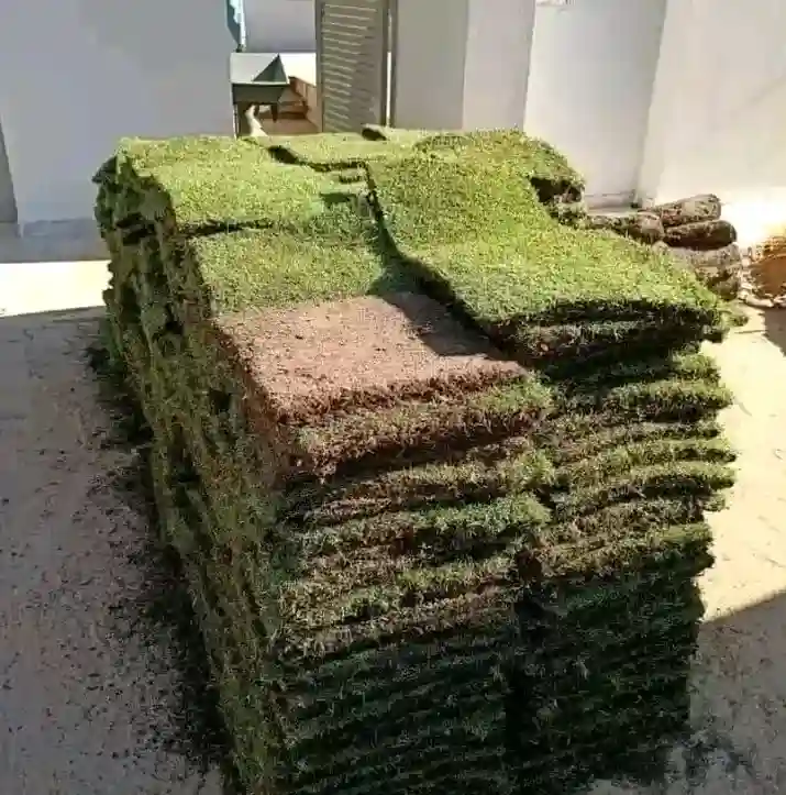 21226774 Vente et Pose Gazon Naturelle Tunisie - Vue 4