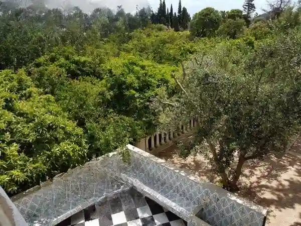 Maison de Campagne 5000 m² ras Jebel - Vue 3